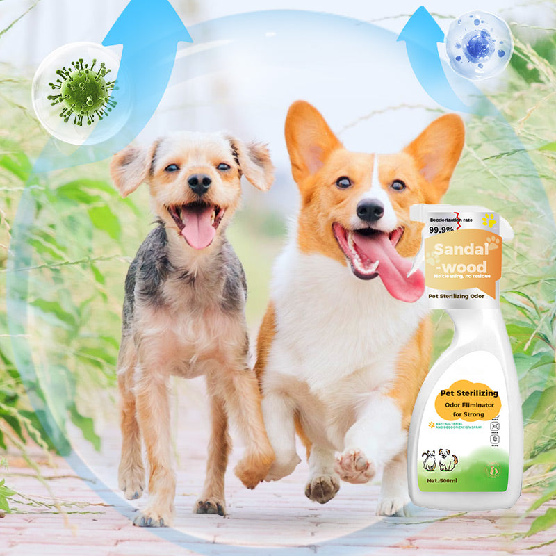 🦮🐈Środek do sterylizacji i eliminacji silnych zapachów