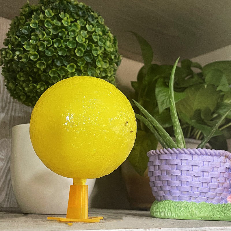 🔥Kup 1 i otrzymaj 1 gratis🔥-Lepka pułapka na muchy z podstawką i diodą LED🪰